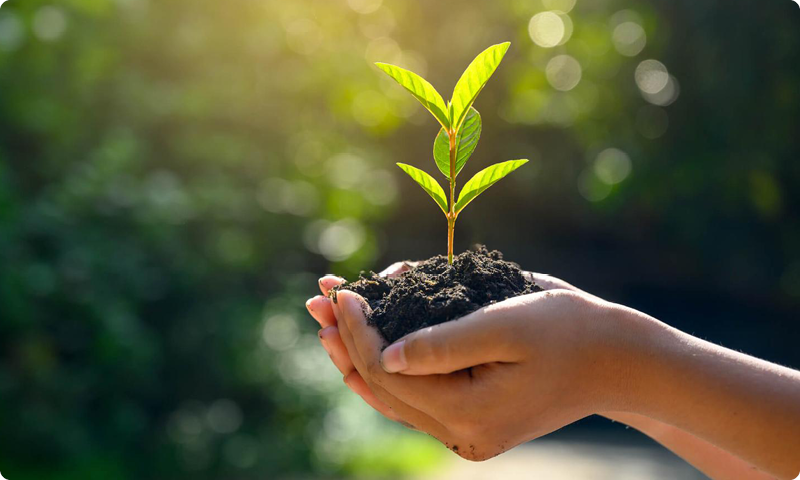 Newsletter März 2025: GEMA goes Green